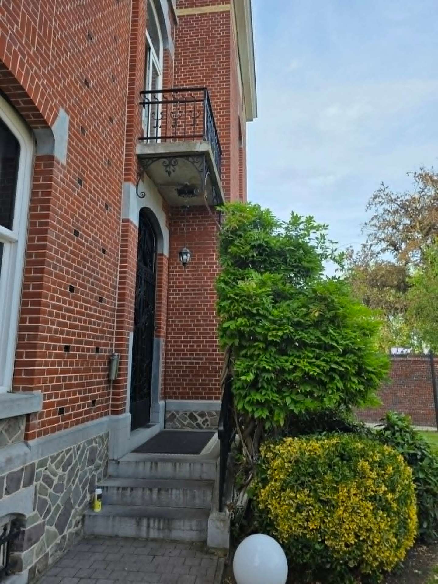 Glycine maîtrisée devant l'entrée — après