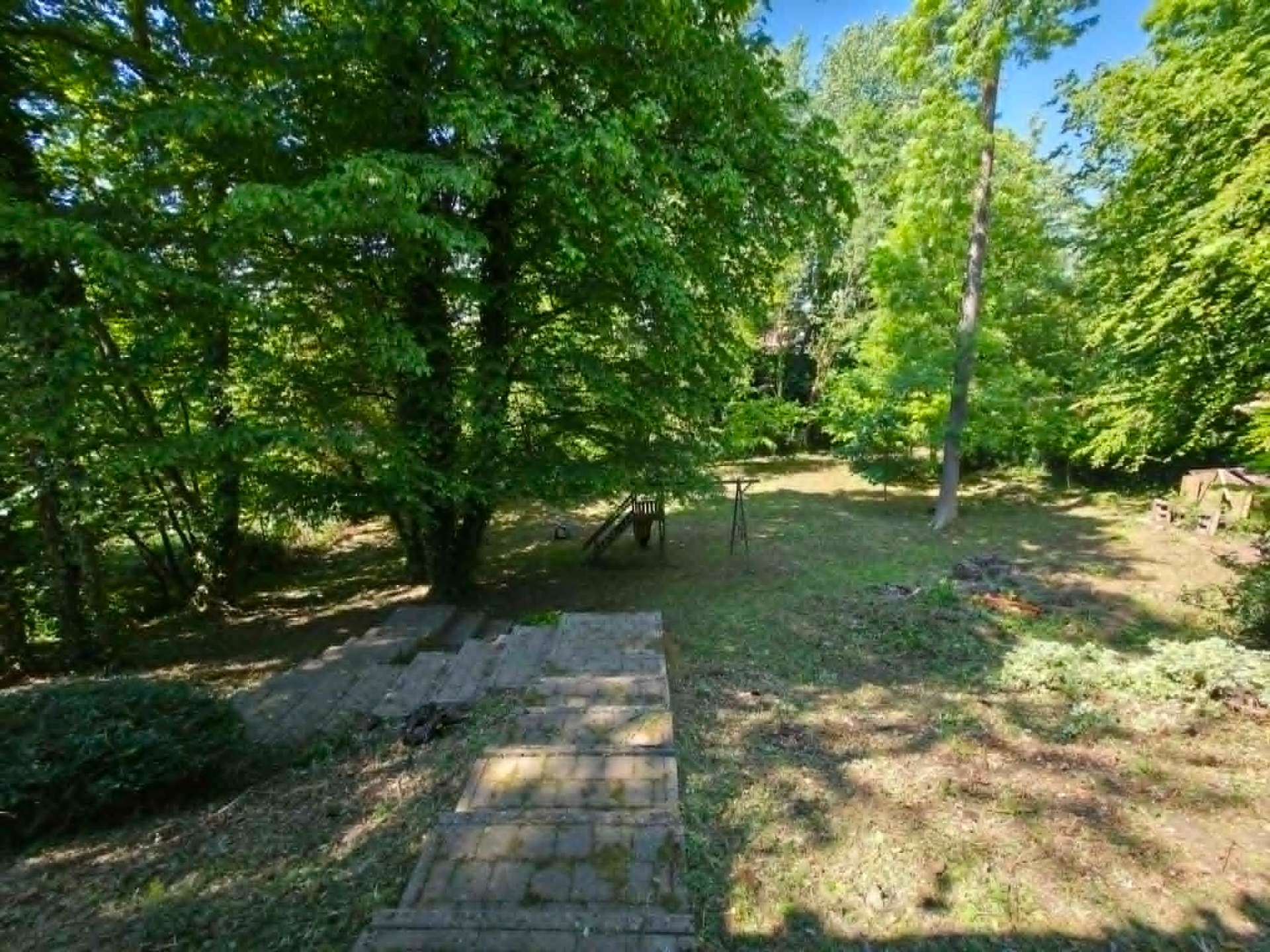 Sous-bois débroussaillé — après